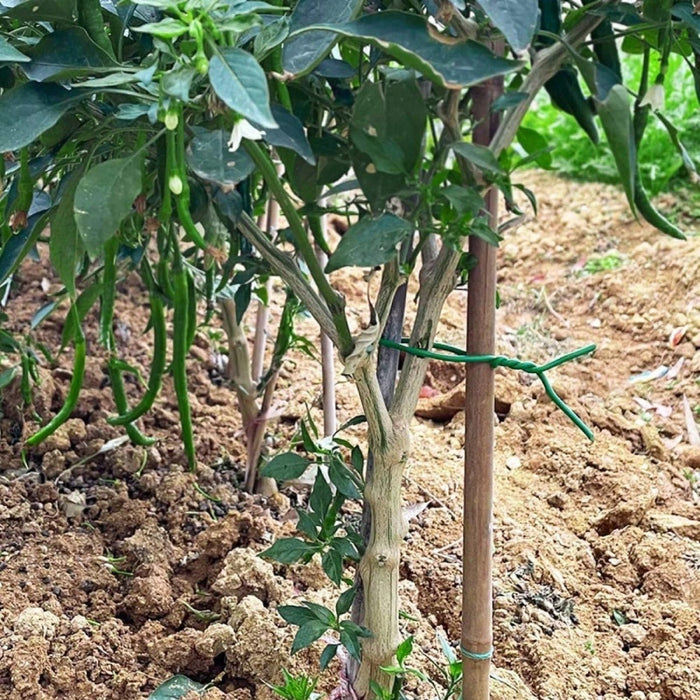 4.8m Strong Thick Twist Tie Support Garden Plant Wire Soft Flexible Coat Cable