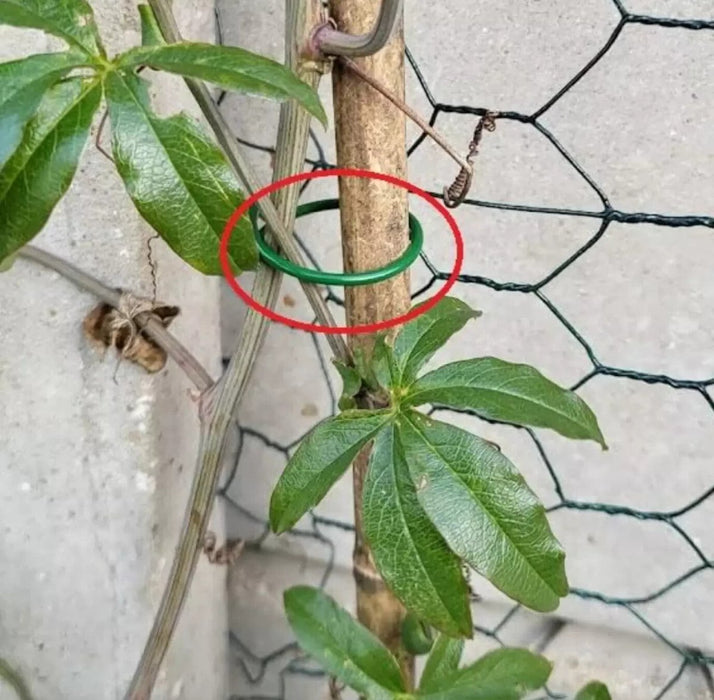 100Pc Garden Plant Rings Wire Plastic Coated Reusable Twisty Garden Outdoor Use