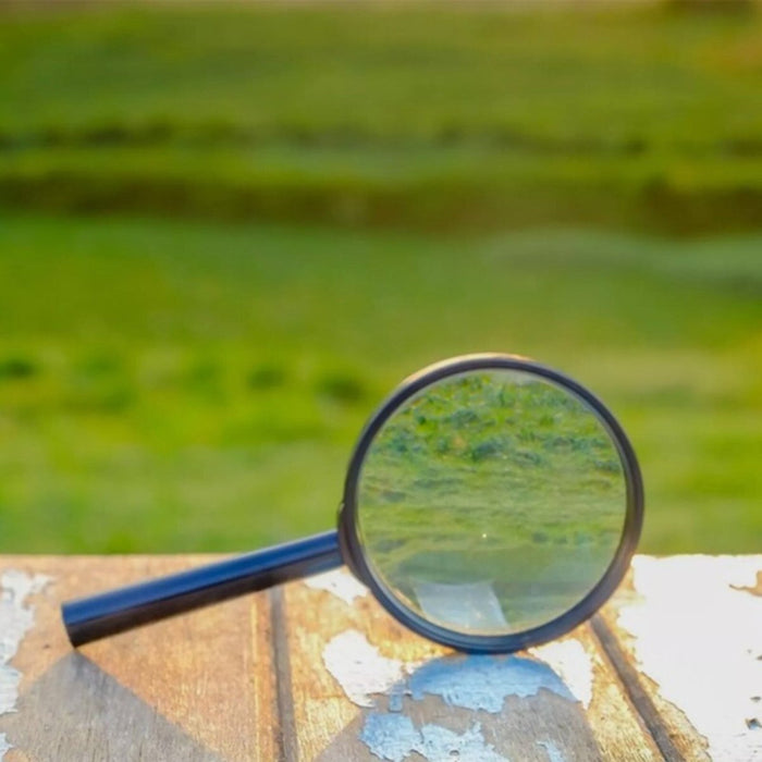 Pocket Magnifying Glass 90mm Large Magnifier Reading Glass Lens 5x Handheld Aid