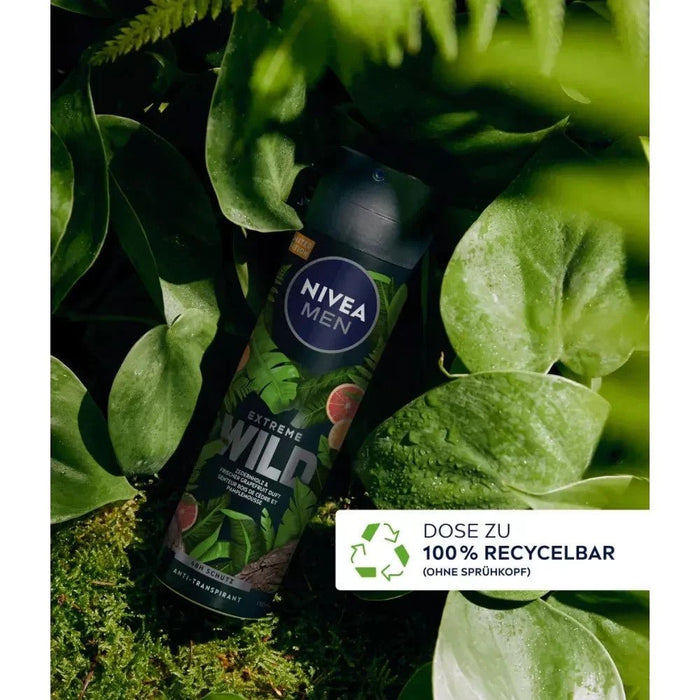 6 x 150ml NIVEA MEN Deodorant Spray Antiperspirant Extreme Wild Cedarwood Gfriut
