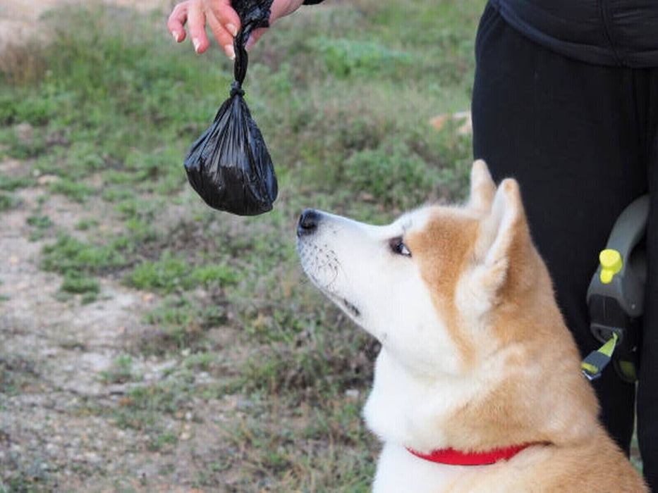 MAXPERKX Dog Poo Bag With Tie Handles - Puppy, Pet, Cat, Doggy Poop Waste Pickup Bags - 100pcs - Image 4