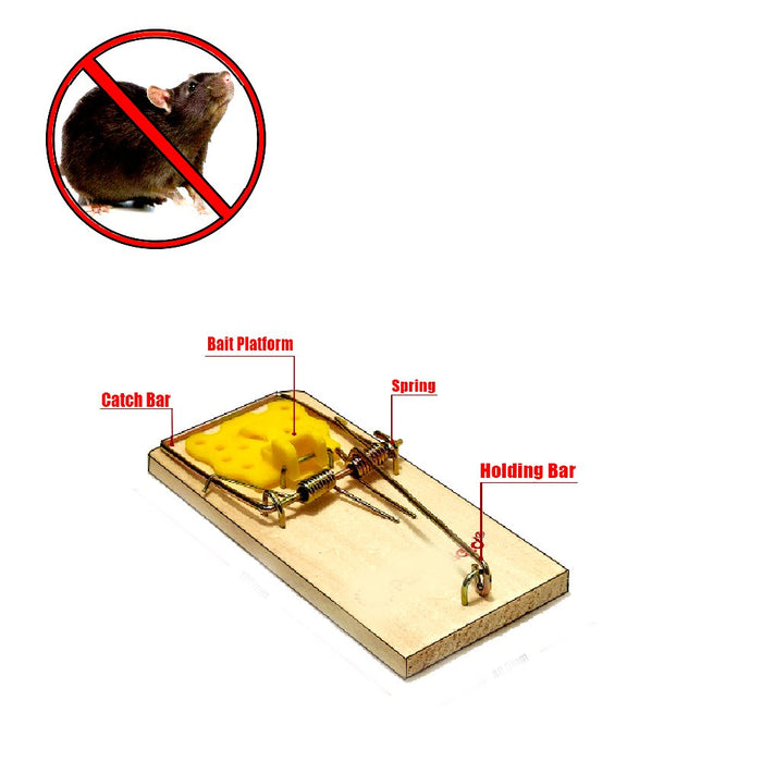 Efficient Wooden Mouse Trap - Quick and Reliable Action